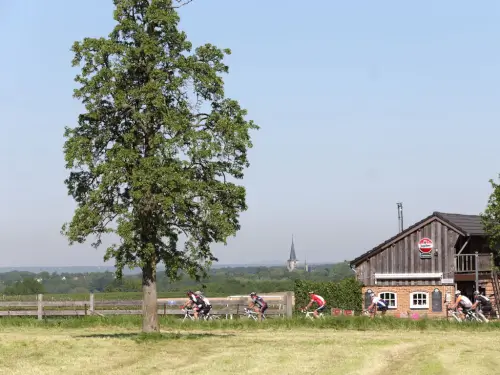 Gruppenunterkunft in der hügeligen Landschaft von Süd-Limburg