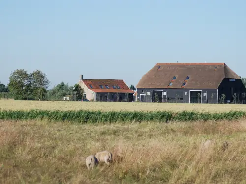 Luxus Ferienhaus in der Nähe von Sonne, Meer und Strand