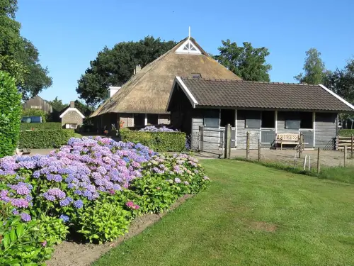 Authentischer Drenther Ferienhof bei Diever